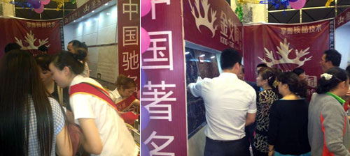 丝瓜视频网站在线观看陶展位的工作人員忙得不可開交